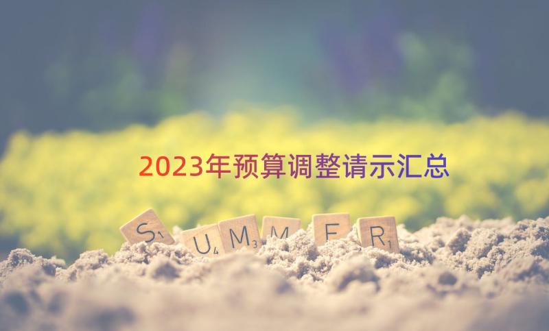 2023年预算调整请示（汇总14篇）