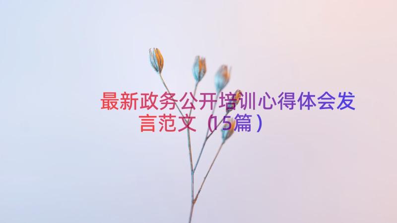 最新政务公开培训心得体会发言范文（15篇）