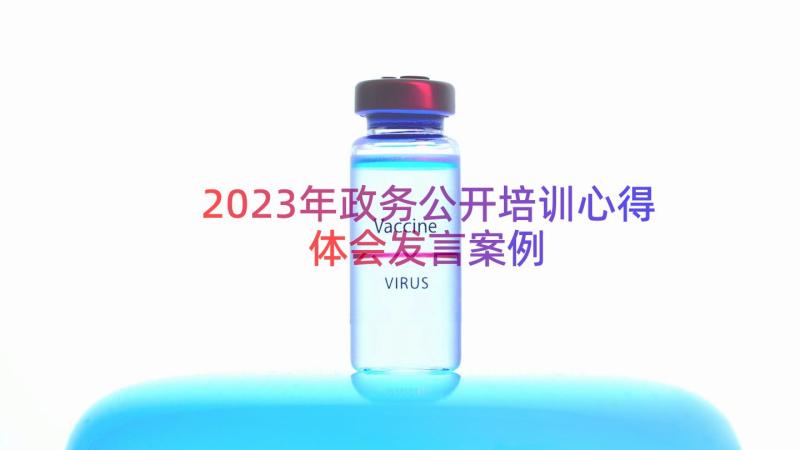 2023年政务公开培训心得体会发言（案例17篇）