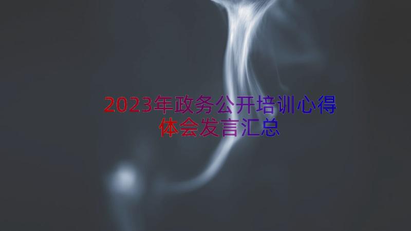 2023年政务公开培训心得体会发言（汇总16篇）