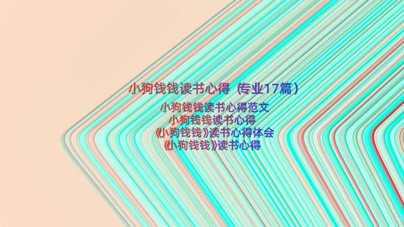 小狗钱钱读书心得（专业17篇）