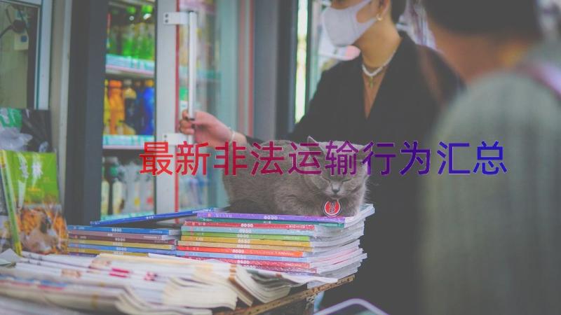 最新非法运输行为（汇总16篇）