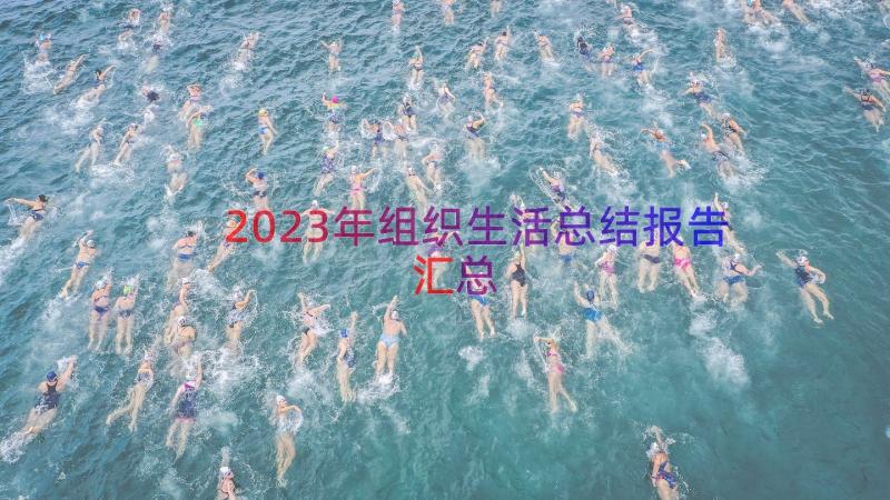 2023年组织生活总结报告（汇总16篇）