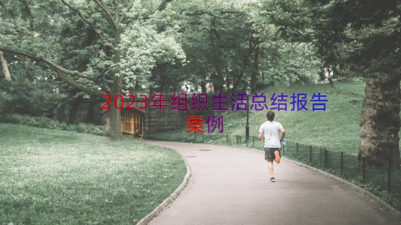 2023年组织生活总结报告（案例14篇）