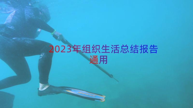 2023年组织生活总结报告（通用16篇）