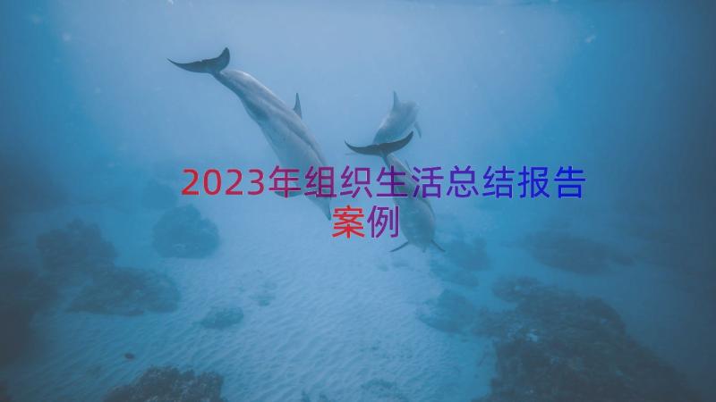 2023年组织生活总结报告（案例14篇）