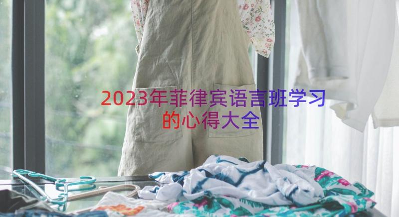 2023年菲律宾语言班学习的心得大全（14篇）