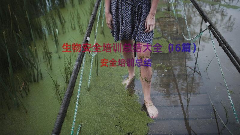 生物安全培训总结大全（16篇）