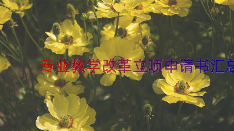 专业教学改革立项申请书（汇总12篇）