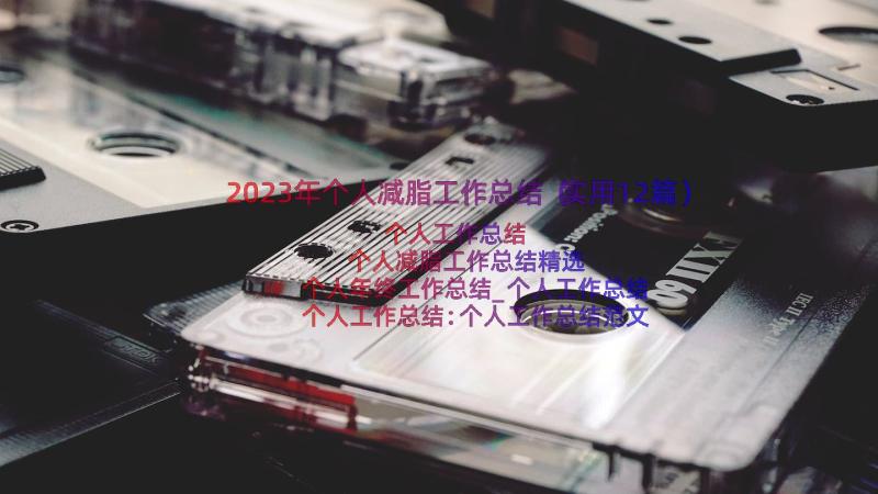 2023年个人减脂工作总结（实用12篇）