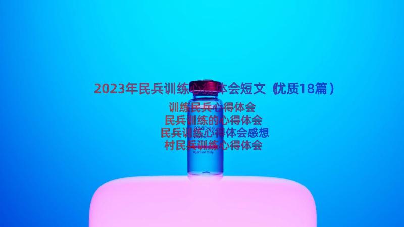 2023年民兵训练心得体会短文（优质18篇）