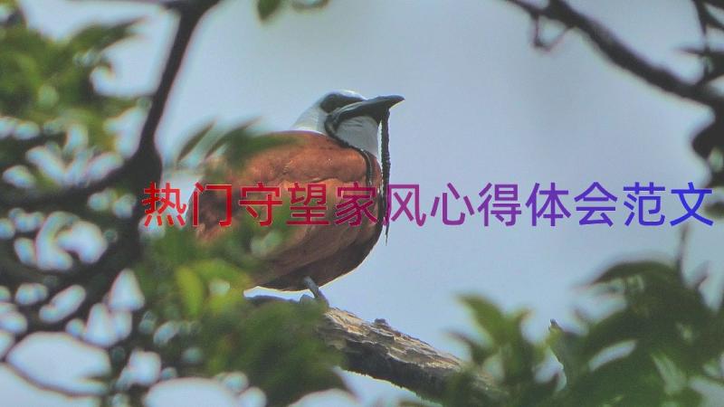 热门守望家风心得体会范文（19篇）