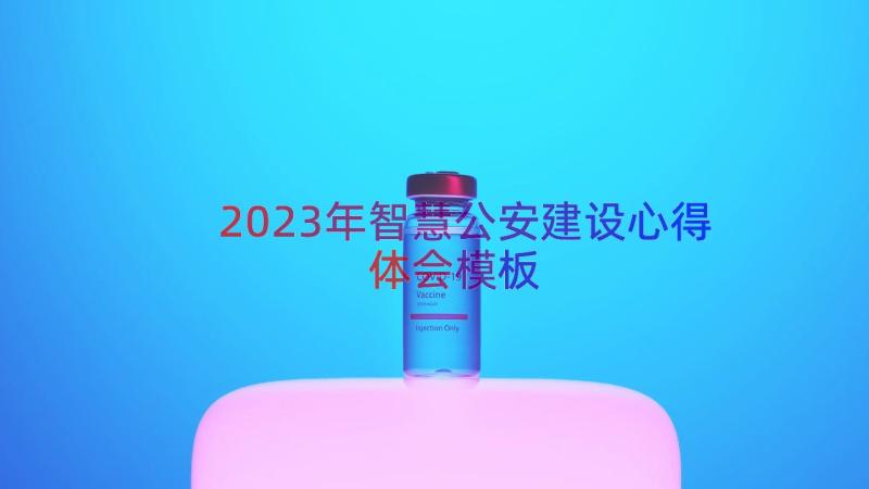 2023年智慧公安建设心得体会（模板13篇）