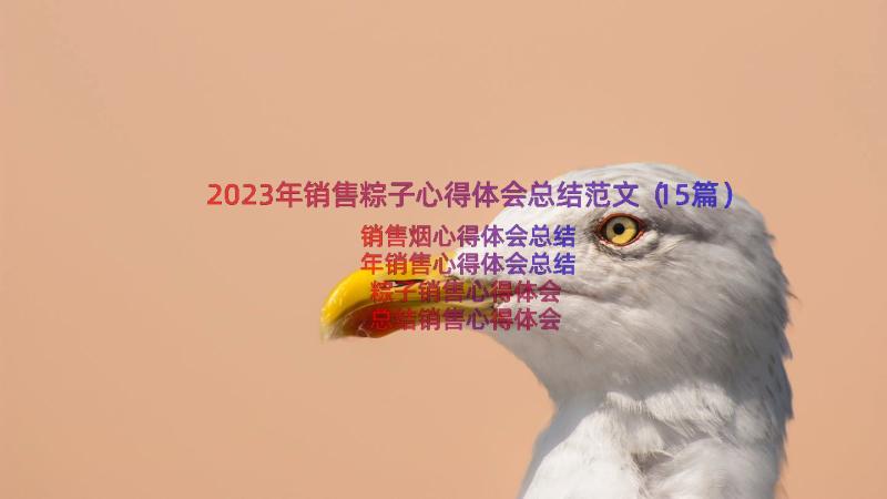 2023年销售粽子心得体会总结范文（15篇）