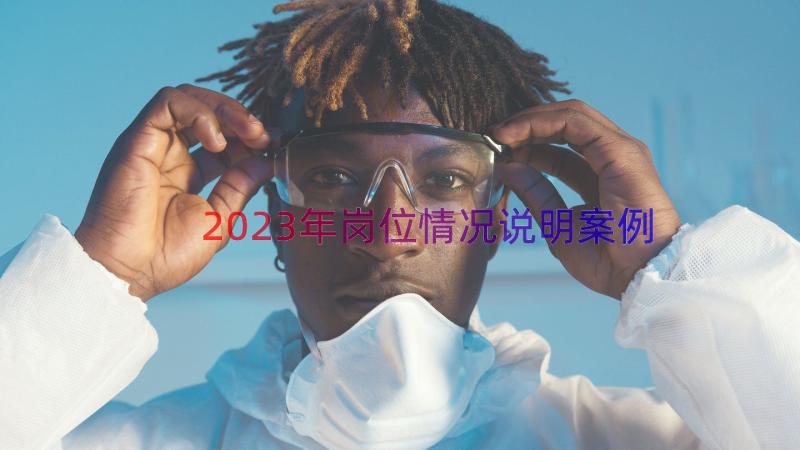 2023年岗位情况说明（案例12篇）