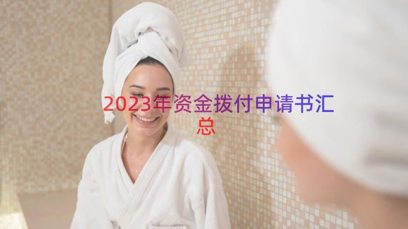 2023年资金拨付申请书（汇总14篇）