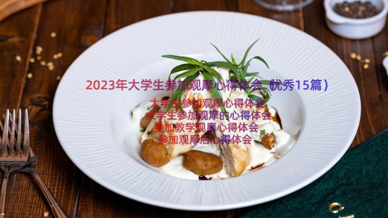 2023年大学生参加观摩心得体会（优秀15篇）