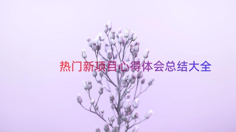 热门新项目心得体会总结大全（12篇）