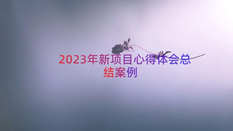 2023年新项目心得体会总结（案例14篇）