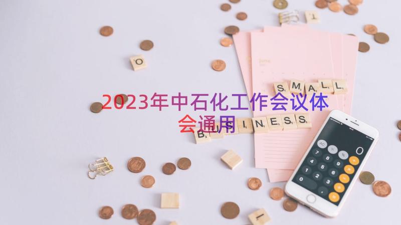 2023年中石化工作会议体会（通用13篇）