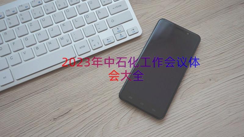 2023年中石化工作会议体会大全（13篇）