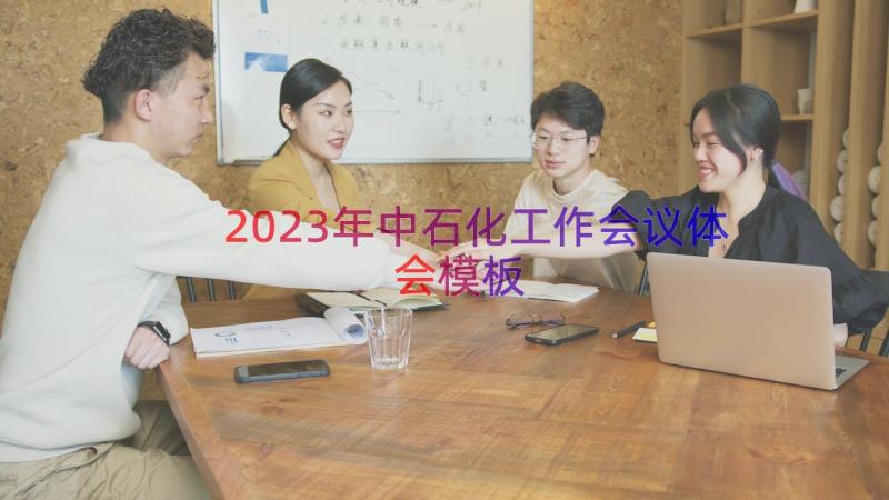 2023年中石化工作会议体会（模板17篇）