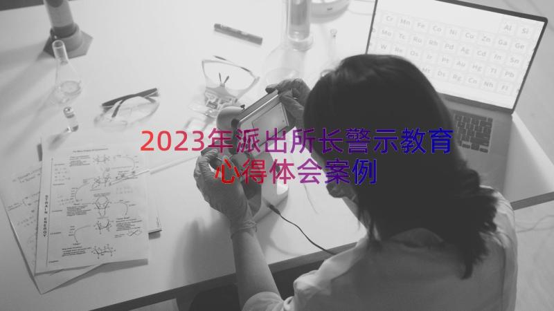 2023年派出所长警示教育心得体会（案例16篇）