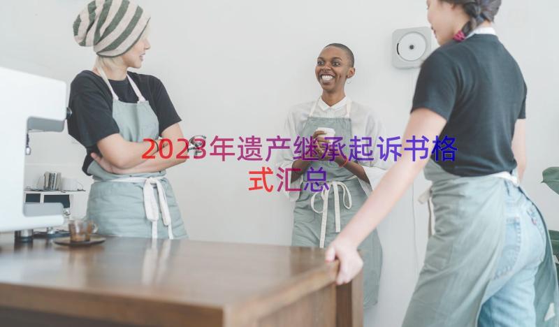 2023年遗产继承起诉书格式（汇总12篇）