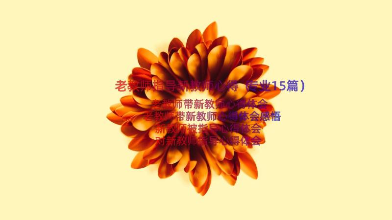 老教师指导新教师心得（专业15篇）