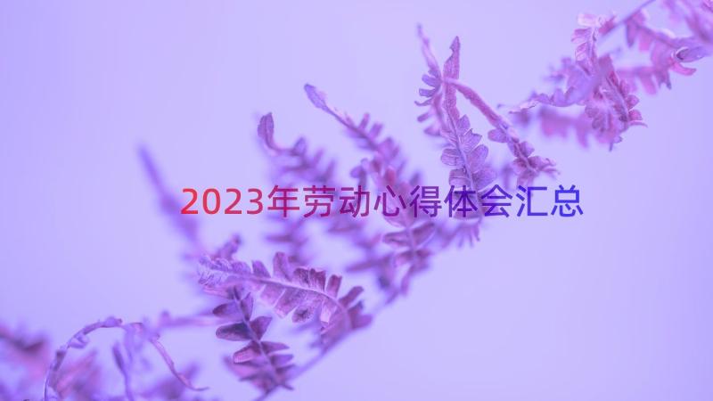 2023年劳动心得体会（汇总13篇）