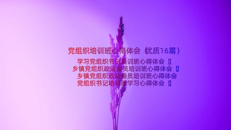 党组织培训班心得体会（优质16篇）