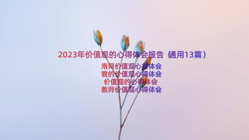 2023年价值观的心得体会报告（通用13篇）