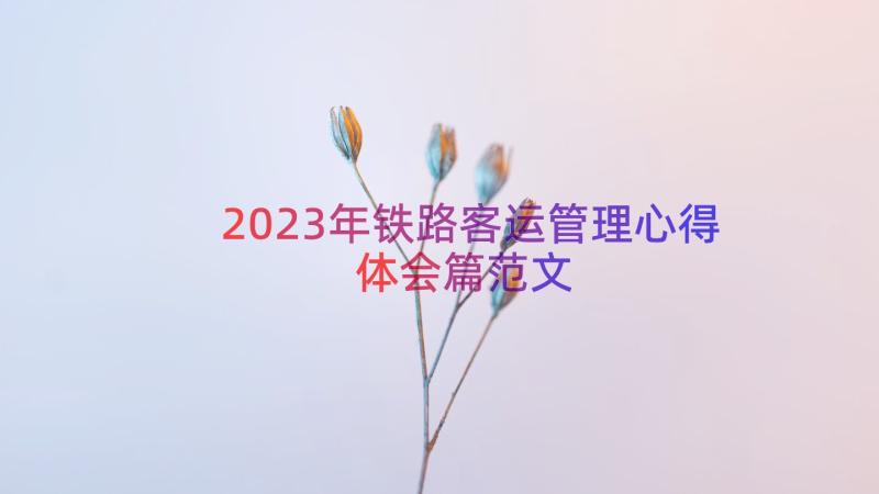 2023年铁路客运管理心得体会篇范文（19篇）