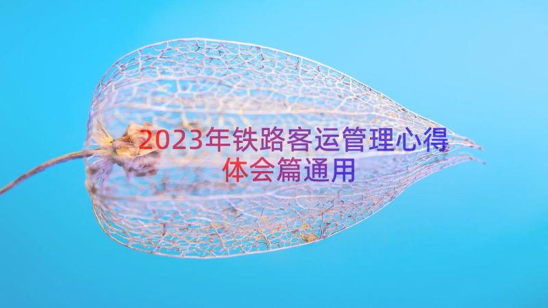 2023年铁路客运管理心得体会篇（通用17篇）