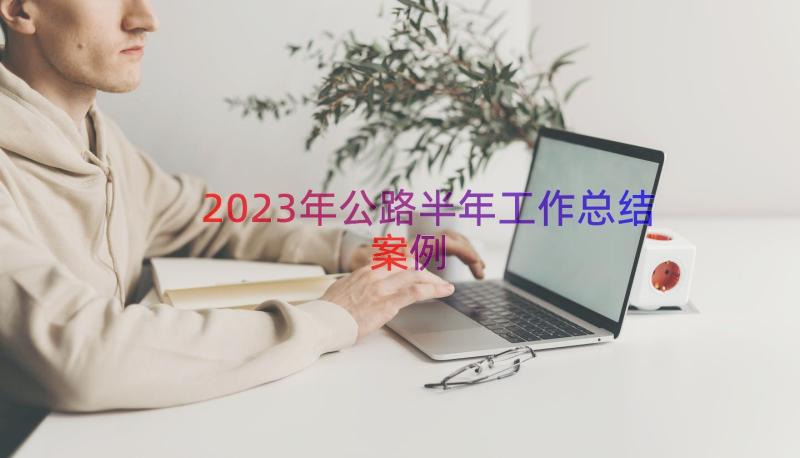 2023年公路半年工作总结（案例16篇）