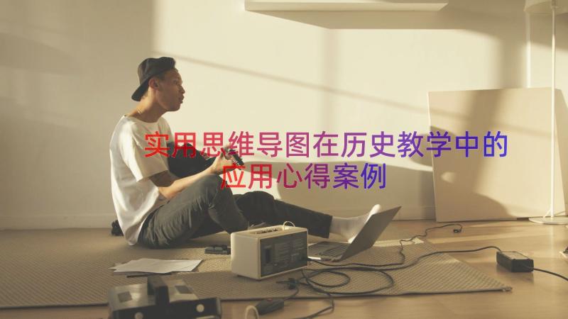 实用思维导图在历史教学中的应用心得（案例13篇）