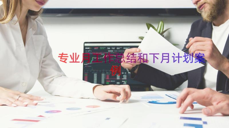 专业月工作总结和下月计划（案例13篇）