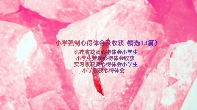 小学强制心得体会及收获（精选13篇）