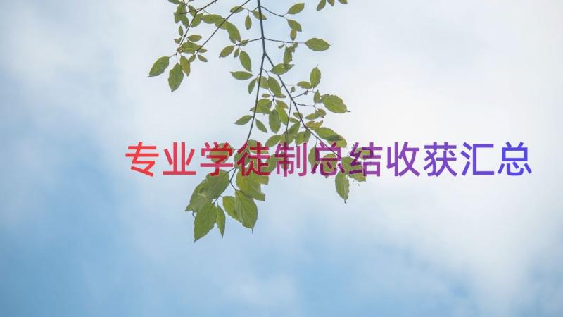 专业学徒制总结收获（汇总14篇）