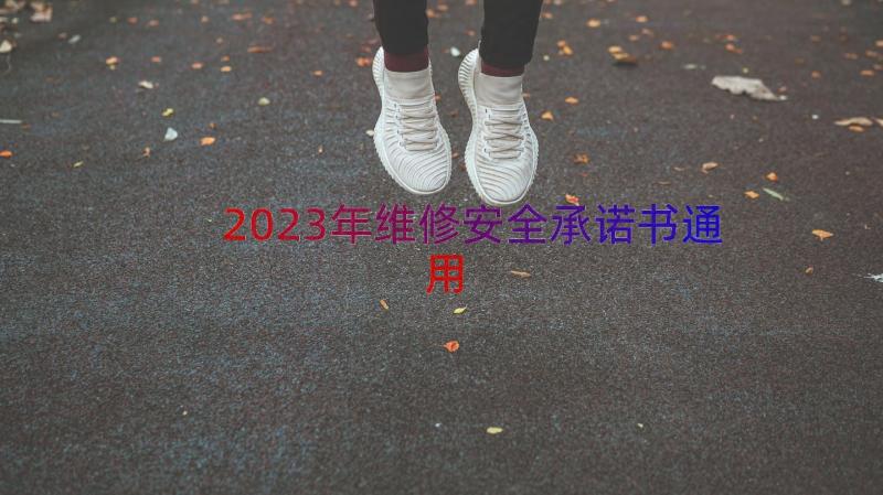 2023年维修安全承诺书（通用17篇）