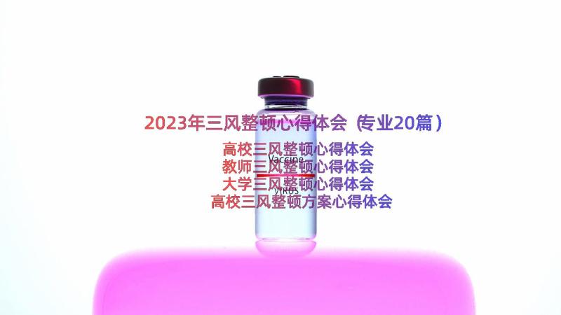 2023年三风整顿心得体会（专业20篇）