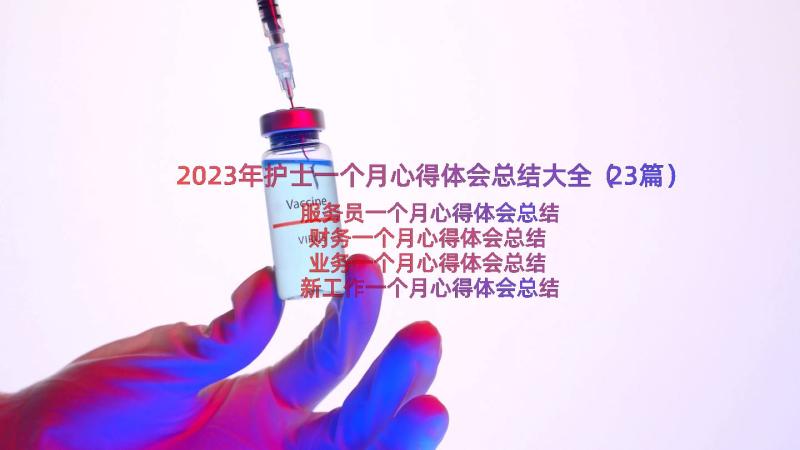 2023年护士一个月心得体会总结大全（23篇）