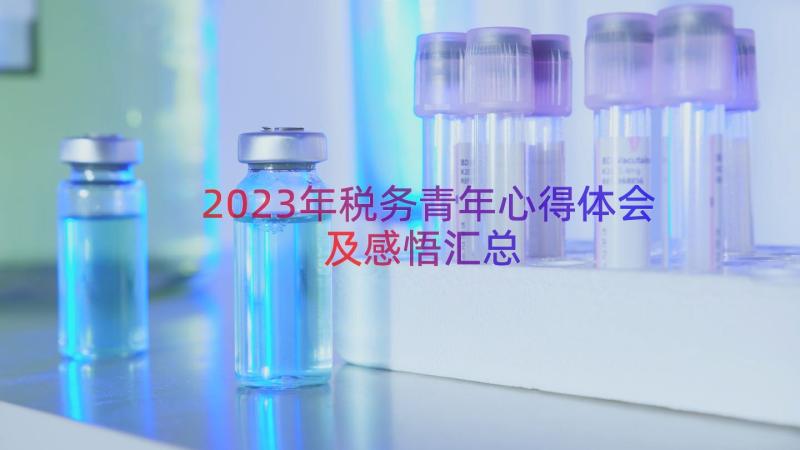 2023年税务青年心得体会及感悟（汇总16篇）