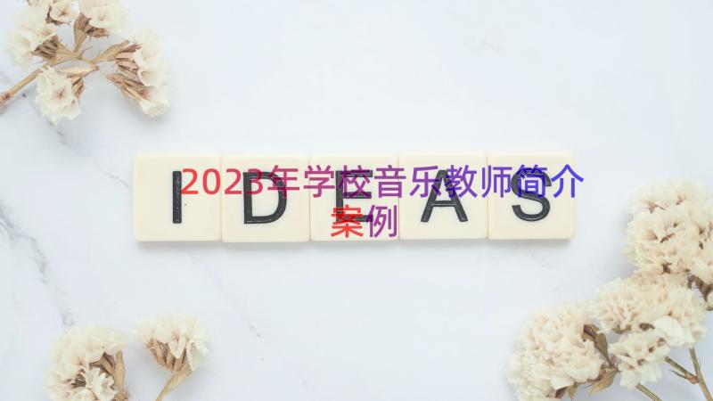 2023年学校音乐教师简介（案例12篇）