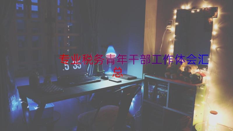 专业税务青年干部工作体会（汇总13篇）