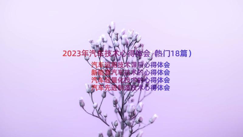 2023年汽车技术心得体会（热门18篇）