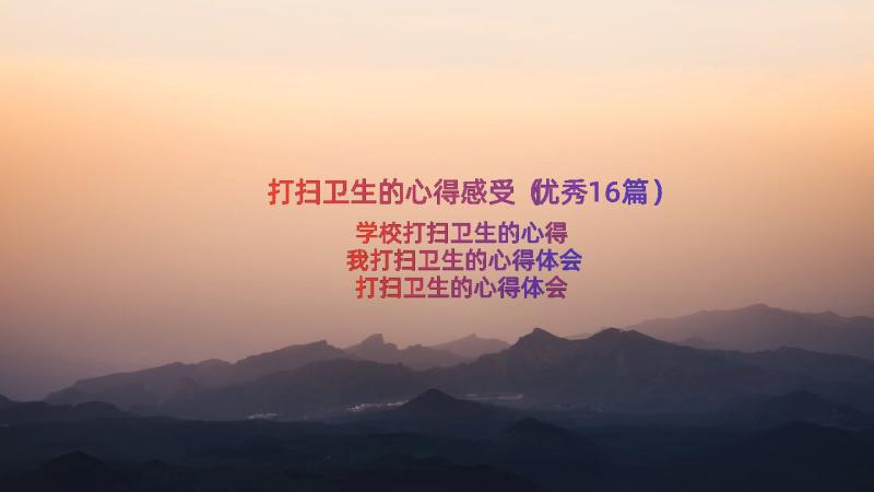 打扫卫生的心得感受（优秀16篇）