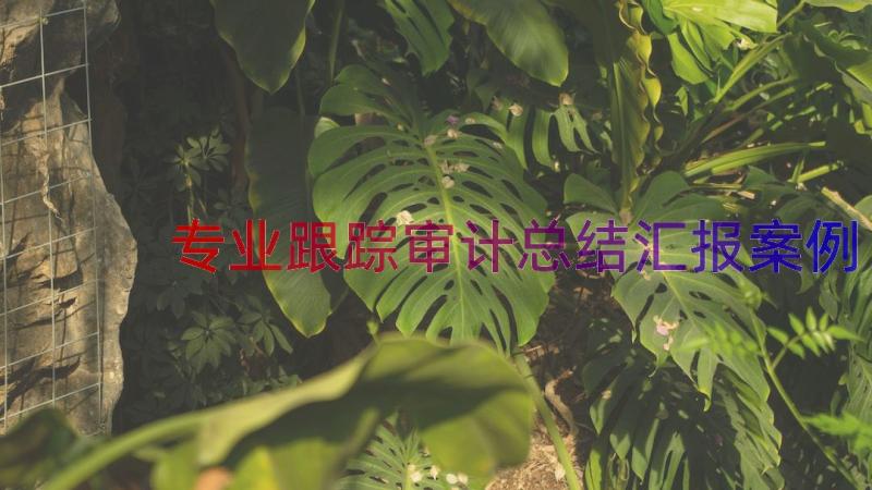 专业跟踪审计总结汇报（案例18篇）