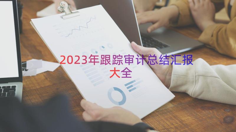 2023年跟踪审计总结汇报大全（13篇）