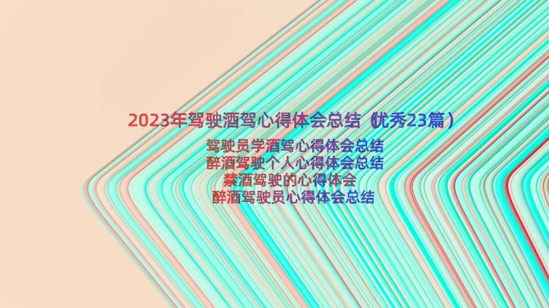 2023年驾驶酒驾心得体会总结（优秀23篇）